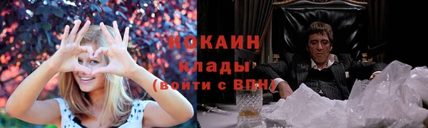 прущие грибы Богданович