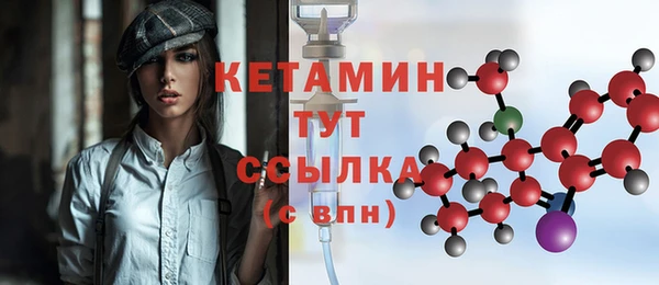 твердый Туринск