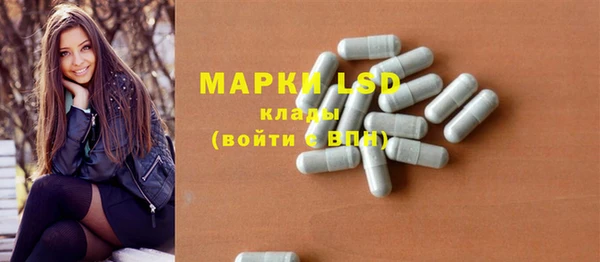 гашик Богородицк