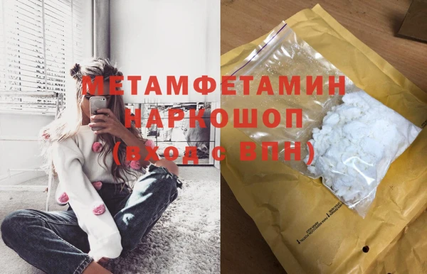 прущие грибы Богданович