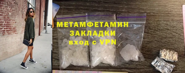 прущие грибы Богданович