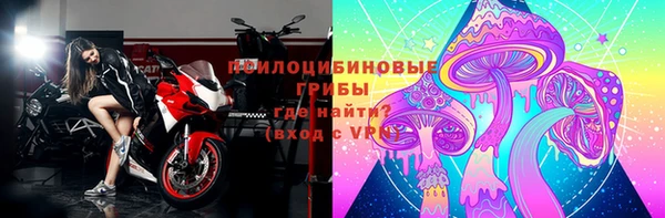 прущие грибы Богданович