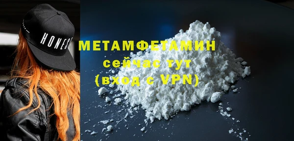 прущие грибы Богданович