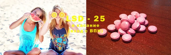 гашик Богородицк