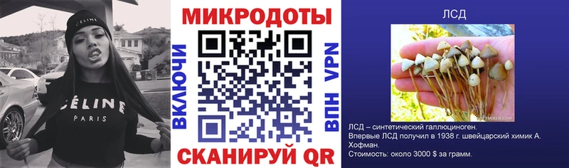 Галлюциногенные грибы Psilocybine cubensis  площадка какой сайт  Дорогобуж  где найти  